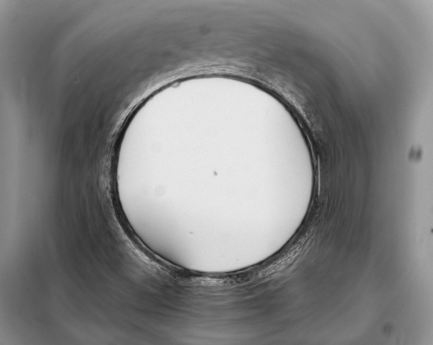 X0000098081500200805021009