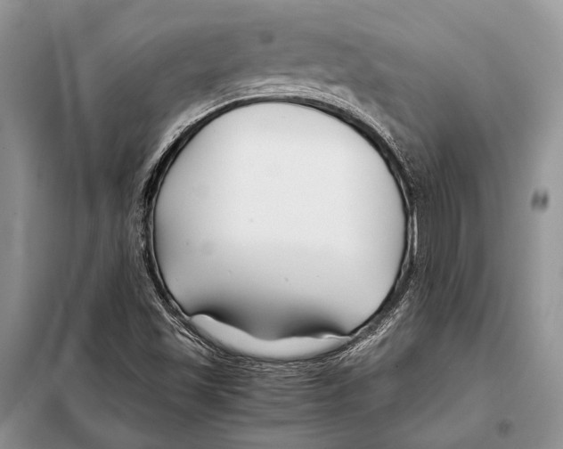 X0000098081501200805021009