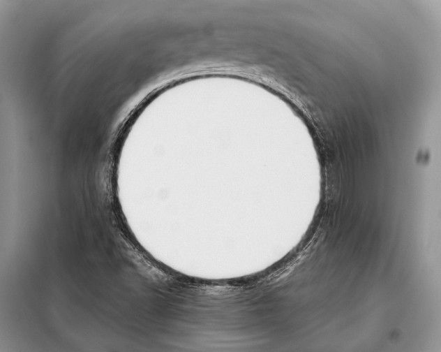 X0000098081502200805021009