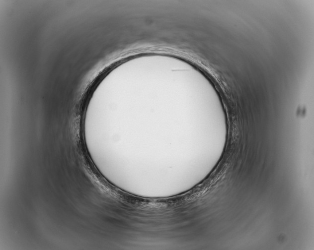X0000098081503200805021009