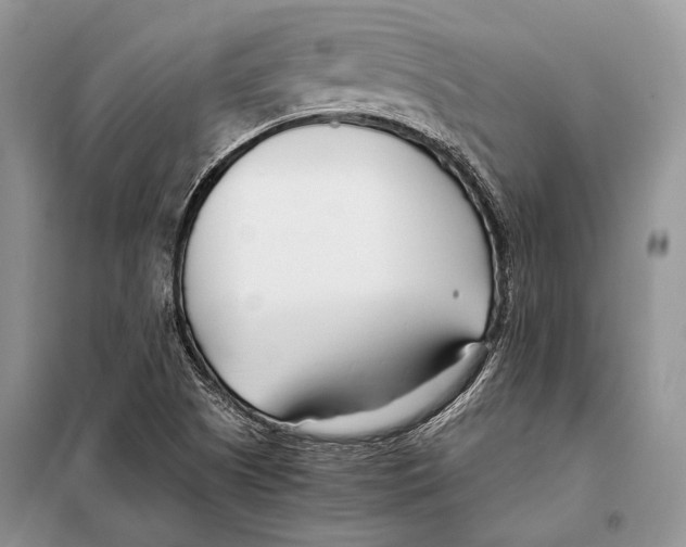X0000098081505200805021009