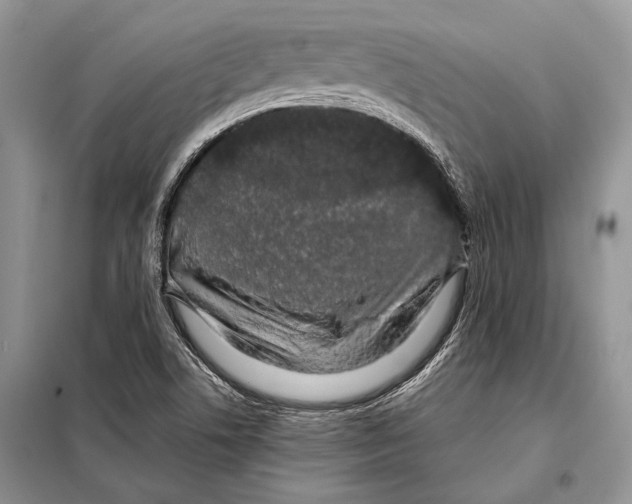X0000098081506200805021009