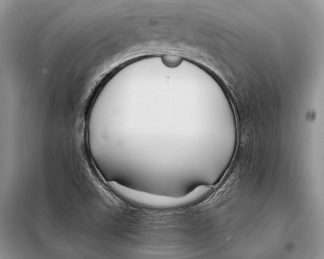 X0000098081507200805021009