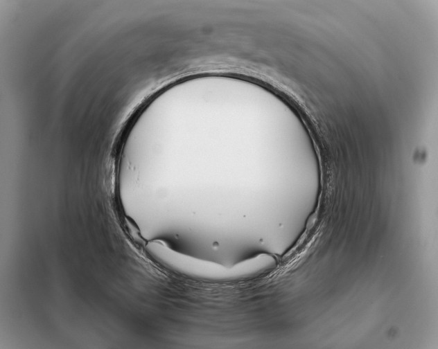 X0000098081509200805021009