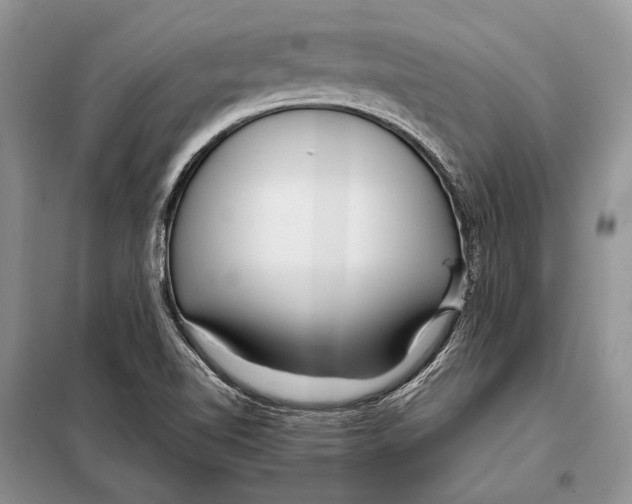 X0000098081510200805021009
