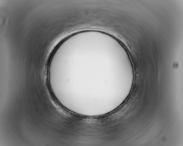X0000098081511200805021009