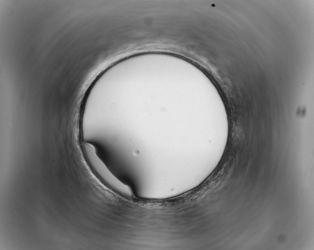X0000098081512200805021009