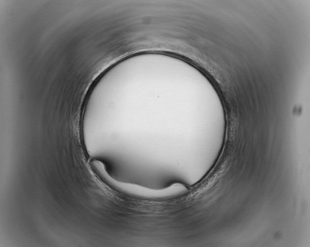 X0000098081513200805021009