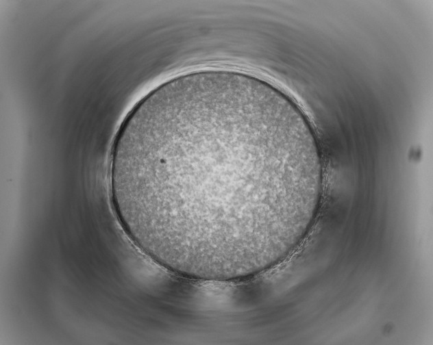 X0000098081514200805021009