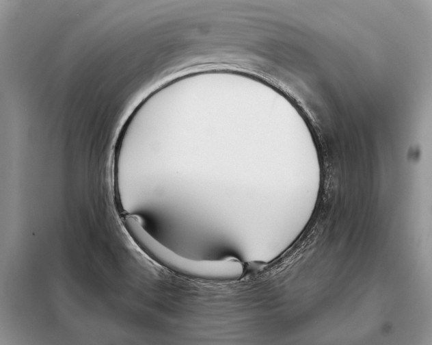X0000098081516200805021009