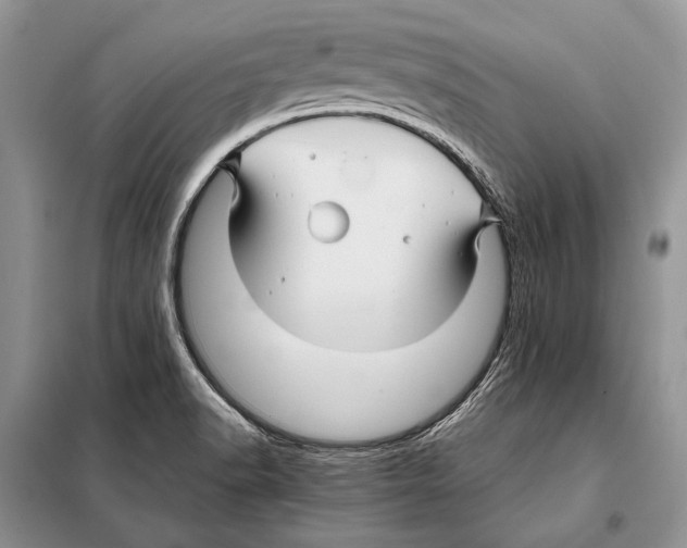 X0000098081518200805021009