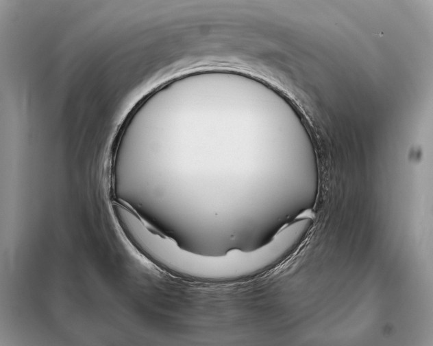 X0000098081519200805021009