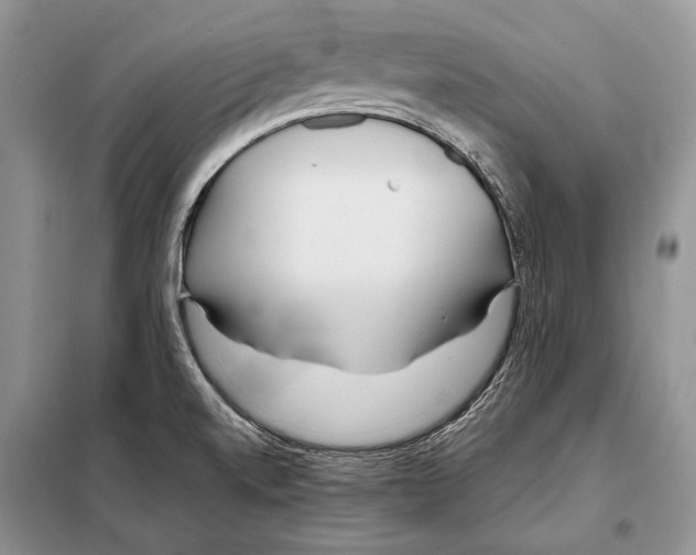 X0000098081520200805021009