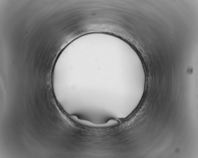 X0000098081521200805021009