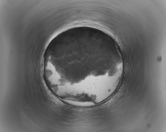 X0000098081522200805021009