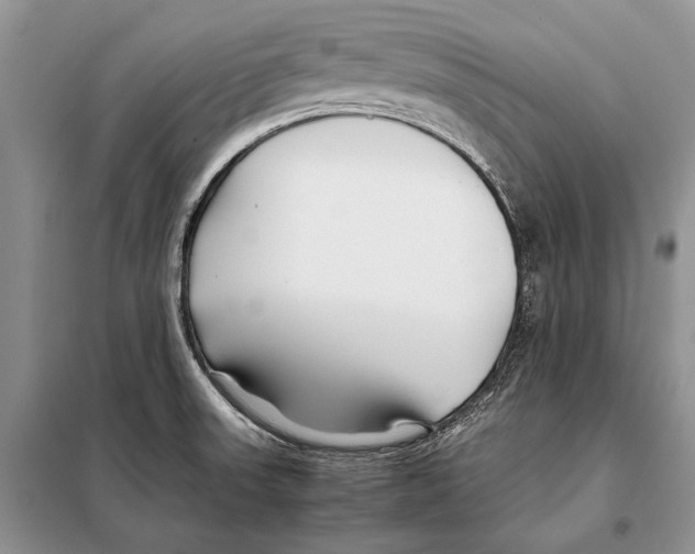X0000098081523200805021009