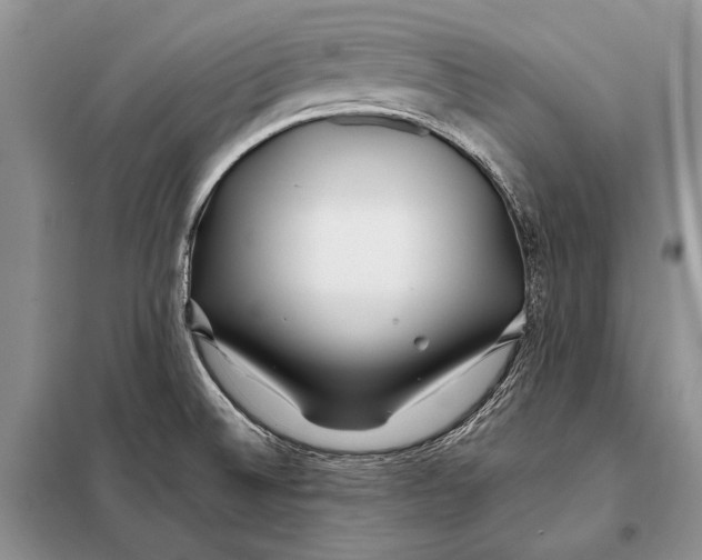 X0000098081524200805021009