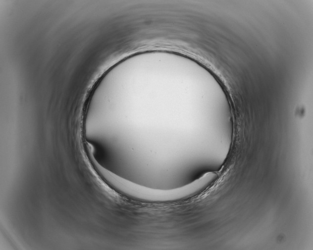 X0000098081525200805021009