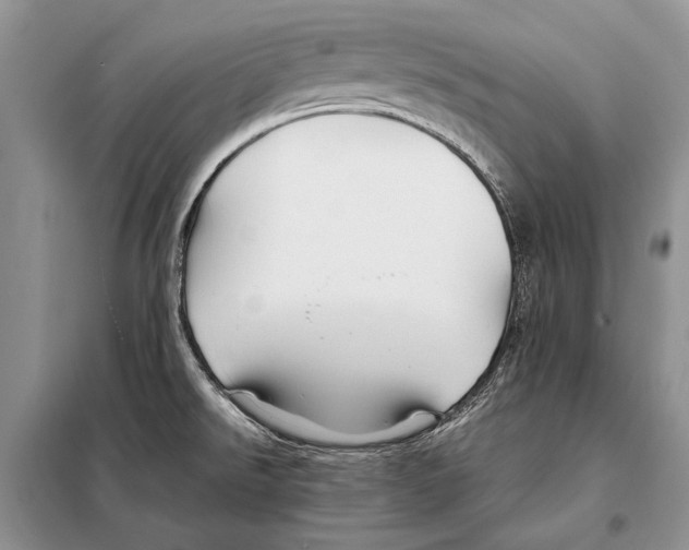 X0000098081526200805021009