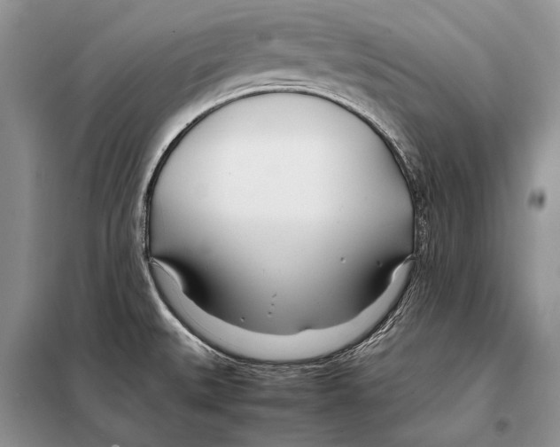 X0000098081527200805021009