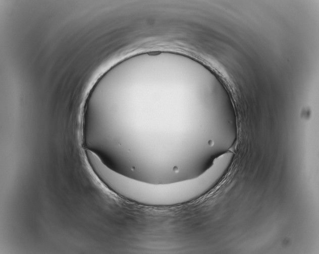 X0000098081528200805021009