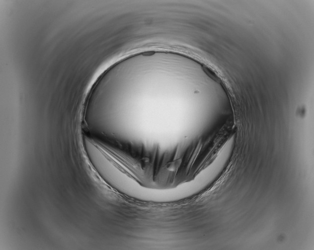X0000098081530200805021009