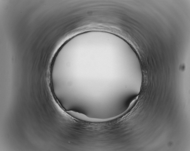 X0000098081531200805021009