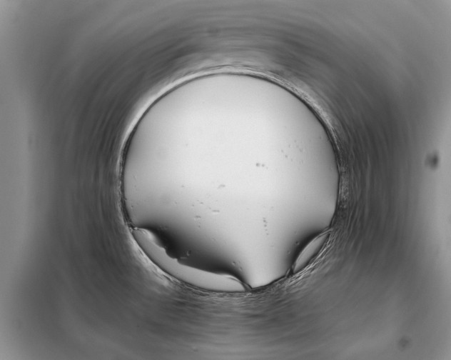 X0000098081532200805021009