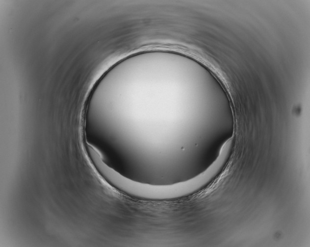 X0000098081533200805021009