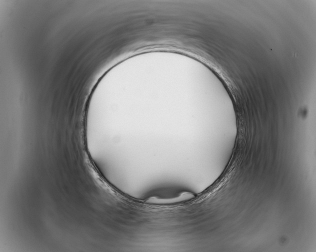 X0000098081534200805021010