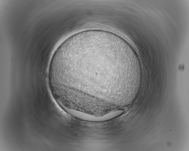 X0000098081536200805021010