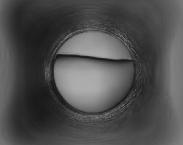X0000098090002200804040735