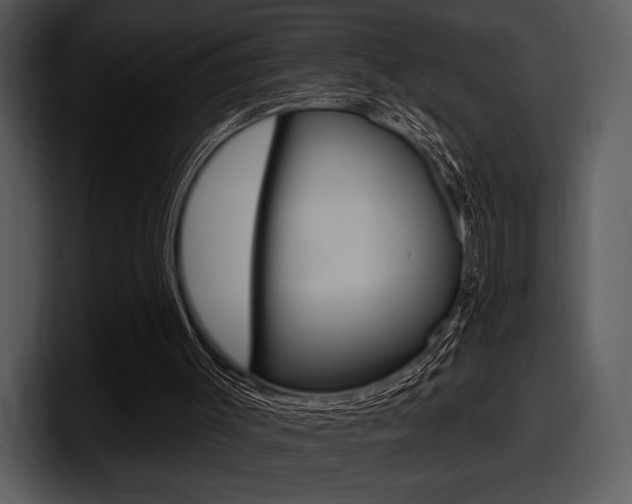 X0000098090003200804040735