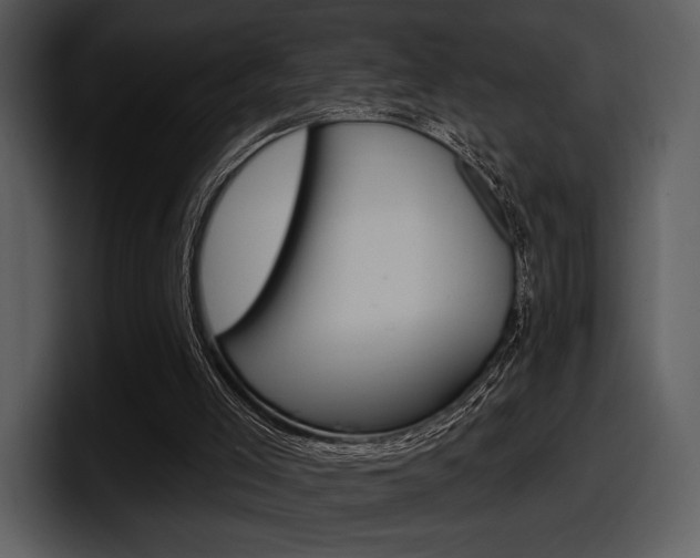 X0000098090005200804040735