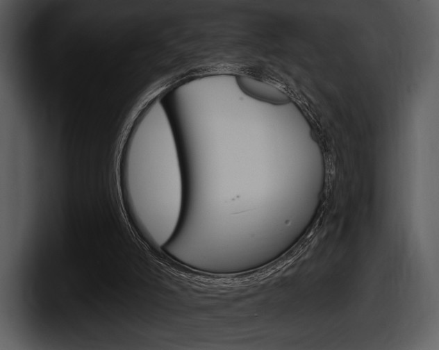 X0000098090006200804040735