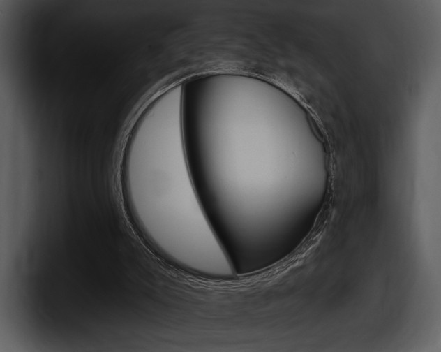X0000098090007200804040735