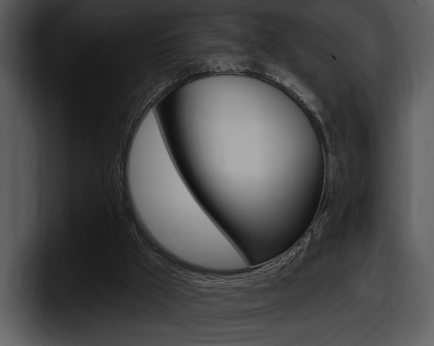 X0000098090009200804040735