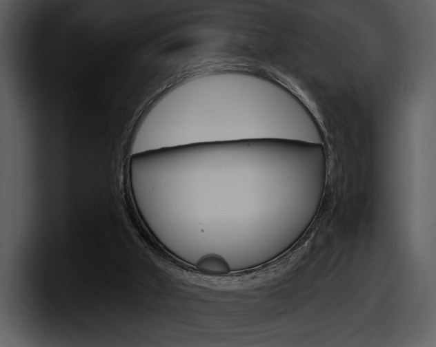 X0000098090010200804040735