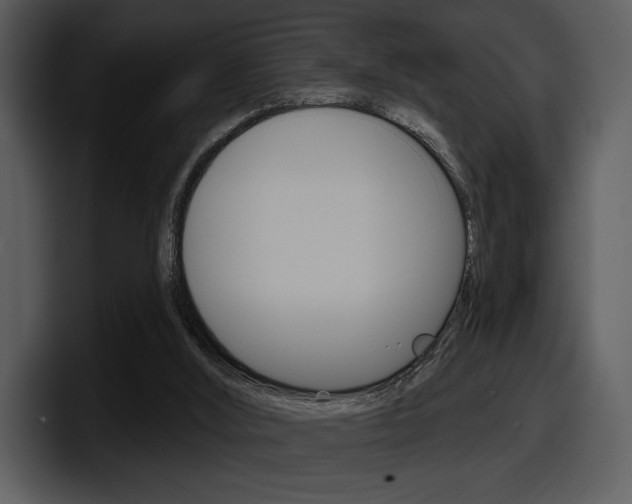 X0000098090012200804040735