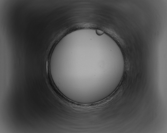 X0000098090014200804040735