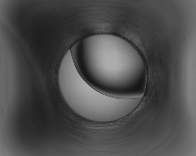 X0000098090017200804040735