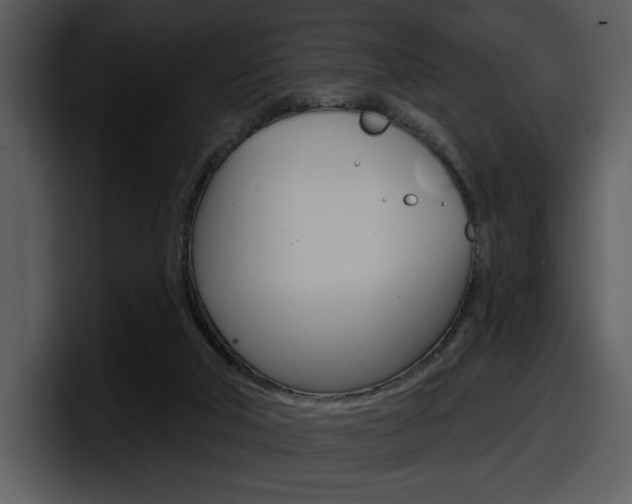 X0000098090018200804040735
