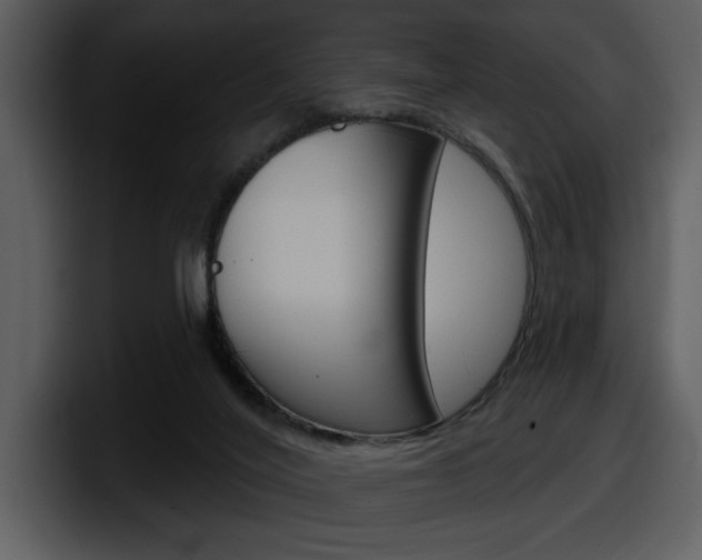 X0000098090020200804040735