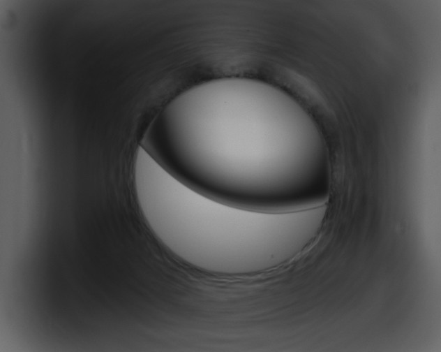 X0000098090025200804040735