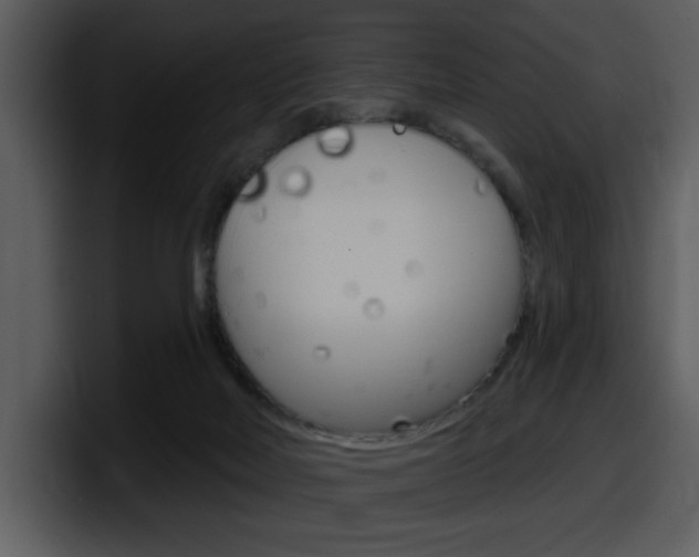 X0000098090026200804040735