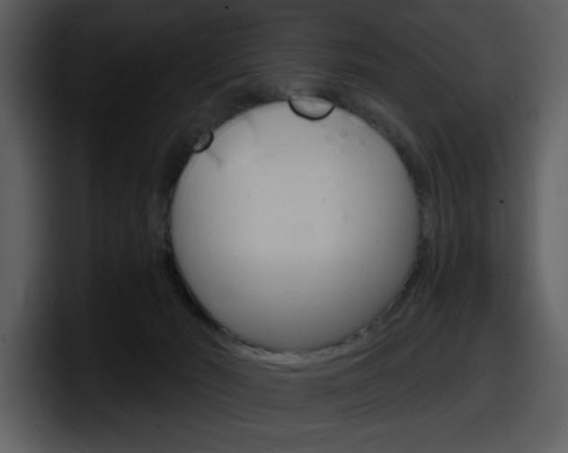 X0000098090030200804040735