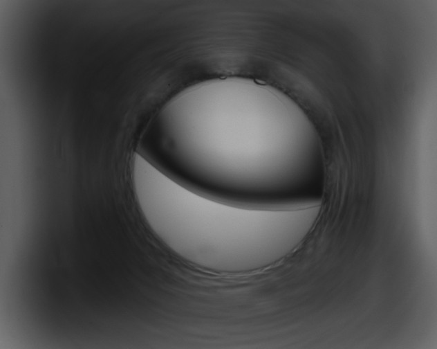 X0000098090031200804040735