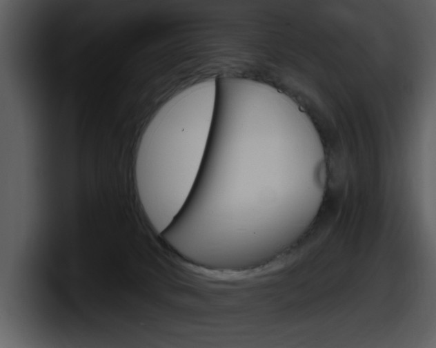 X0000098090034200804040735