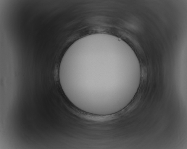 X0000098090036200804040735