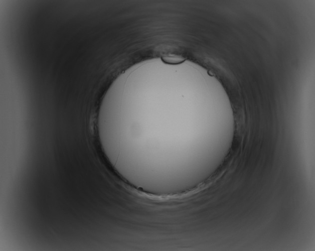 X0000098090038200804040735